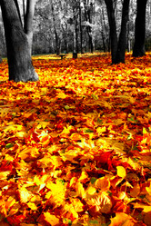 Similar image 470006