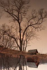 Similar image 470055