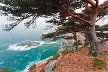 Similar image 470067