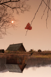 Similar image 470084