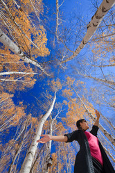 Similar image 470133