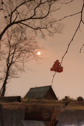 Similar image 470137