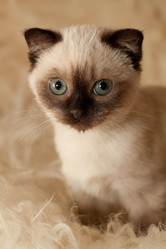 Similar image 470201