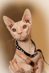 Similar image 470213