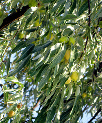 Similar image 470215