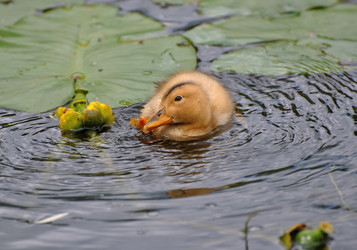 Similar image 470230