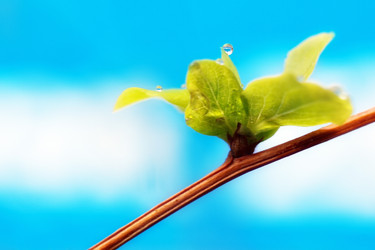 Similar image 470242