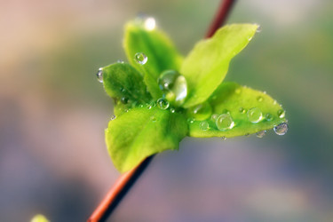 Similar image 470243