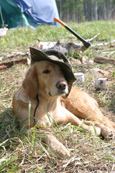 Similar image 470271