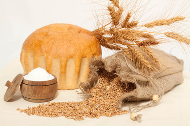 Similar image 470296