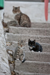 Similar image 470381