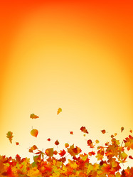 Similar image 470431