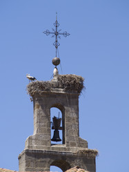 Similar image 470533