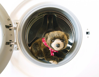 Similar image 470543