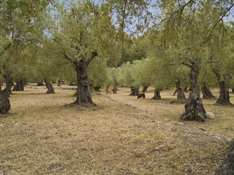 Similar image 470547