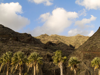 Similar image 470550