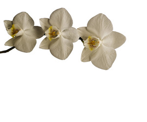 Similar image 470573