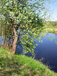 Similar image 470601