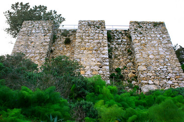 Similar image 470615