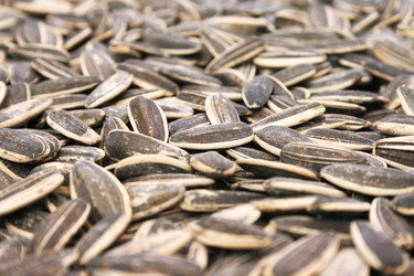 Similar image 470621