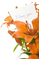 Similar image 470627