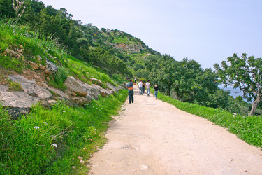 Similar image 470633