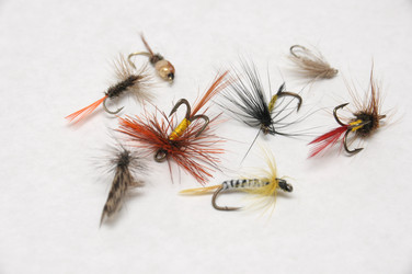 Similar image 470663