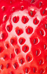 Similar image 470684