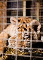 Similar image 470688