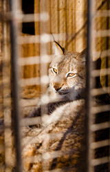 Similar image 470691