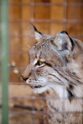 Similar image 470693