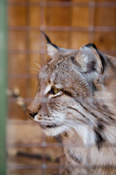 Similar image 470695