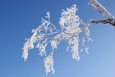 Similar image 470696