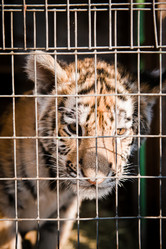 Similar image 470700