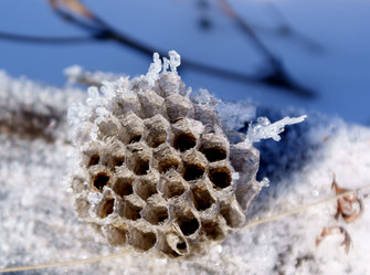 Similar image 470701