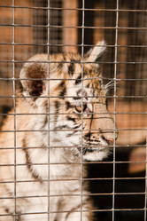 Similar image 470708