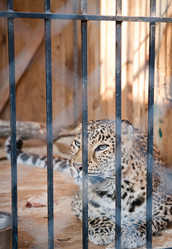 Similar image 470720