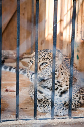 Similar image 470726