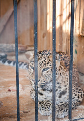 Similar image 470728