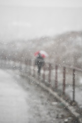 Similar image 470736