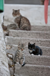 Similar image 470740