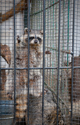 Similar image 470758