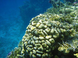 Similar image 470762