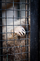 Similar image 470763