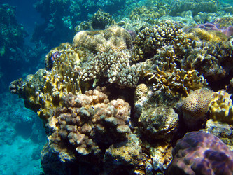 Similar image 470769