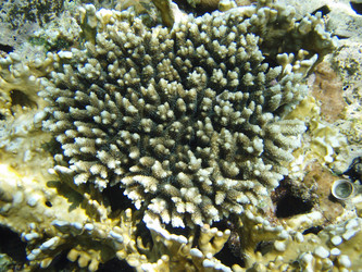 Similar image 470771