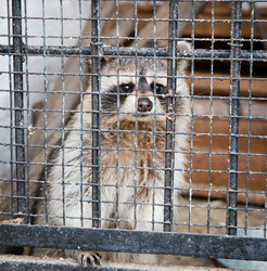 Similar image 470772