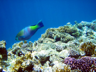 Similar image 470774