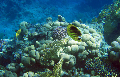 Similar image 470776