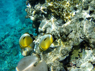 Similar image 470777